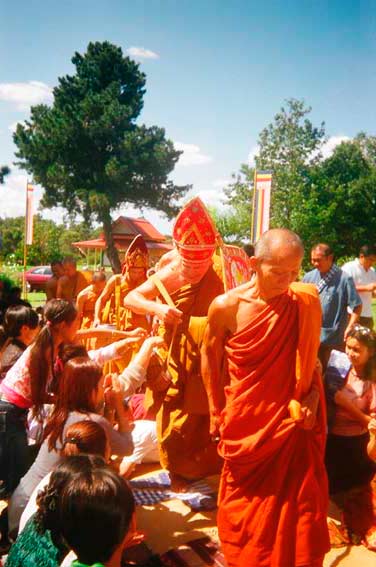 emergent curriculum examples emergent curriculum examples